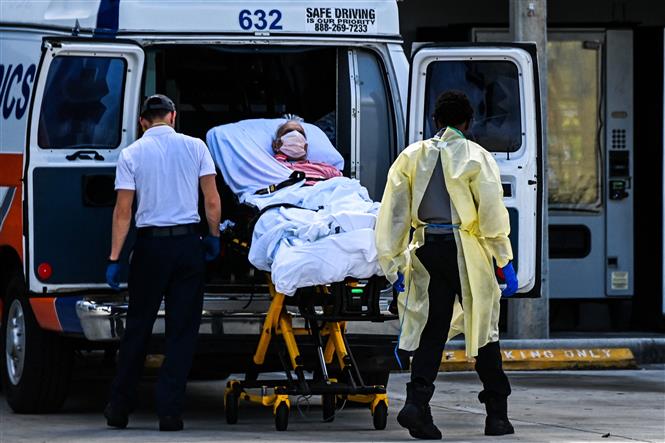 Nhân viên y tế chuyển bệnh nhân nhiễm Covid-19 tới bệnh viện ở Coral Gables gần Miami, Mỹ. Ảnh: AFP/TTXVN