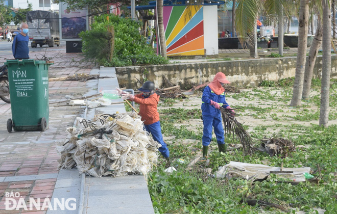 Công nhân Công ty CP Môi trường Đô thị Đà Nẵng thu dọn rác tại bãi tắm Mân Thái. Ảnh: HOÀNG HIỆP
