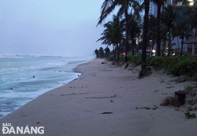 Sea waves approaching coconut trees and a soft embankment to protect the Vo Nguyen Giap Coastal Route. Photo: HOANG HIEP