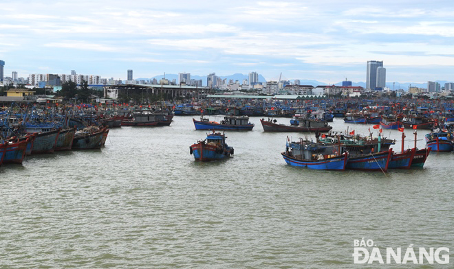 Một số tàu cá rời khỏi vị trí neo đậu trú bão trong âu thuyền Thọ Quang trong sáng 20-12 và ra khơi. Ảnh: HOÀNG HIỆP