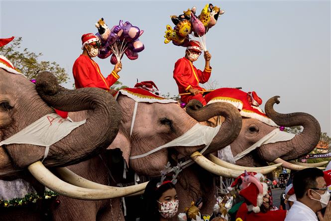  Các chú voi đội mũ ông già Noel, đeo khẩu trang phân phát quà cho các em học sinh trong bữa tiệc Giáng sinh ở Ayutthaya, Thái Lan, ngày 24-12-2021. Ảnh: AFP/TTXVN