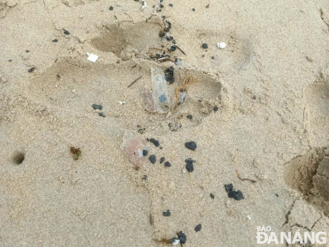 Thu gom dầu phong hóa tấp vào bãi biển