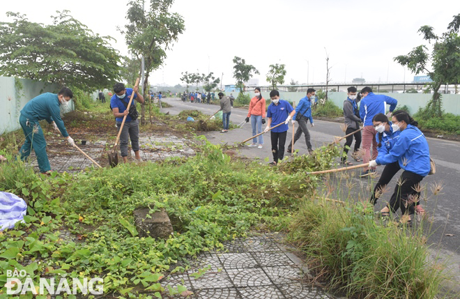 Da Nang Youth Union members clear weeds in the vicinity of Thang Long Street, January 8, 2022. Photo: HOANG HIEP