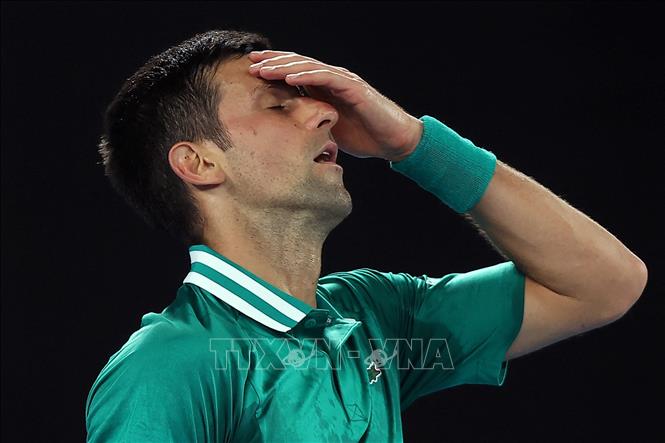 Tay vợt người Serbia Novak Djokovic. Ảnh: AFP/TTXVN
