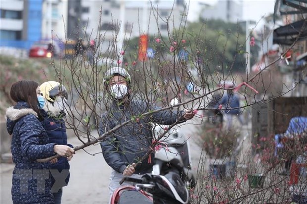 Người dân mua đào Tết tại chợ hoa Quảng Bá, quận Tây Hồ, Hà Nội. (Ảnh: Minh Quyết/TTXVN)