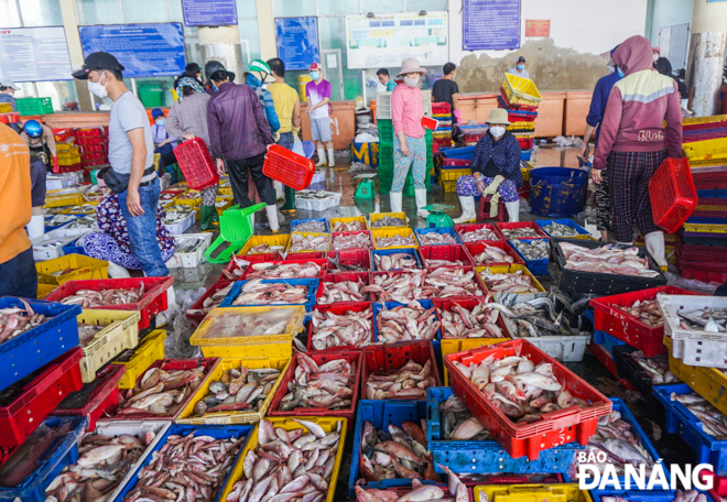 Fresh and abundant seafood on sale at the Tho Quang fish market indicates bumper catches before Tet.