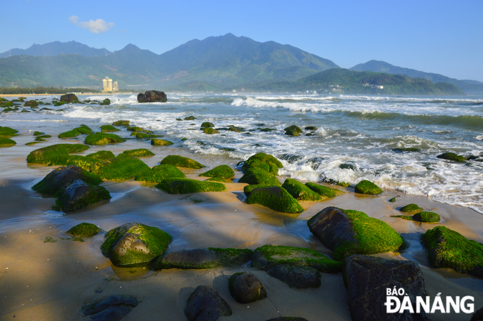 The Nam O Reef are famous for their multi-shaped rocks covered with green moss when the winter ends and the weather gets warmer, stretching along the coast and when in season.