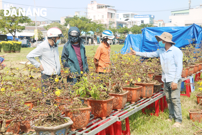 Số lượng hoa tại các chợ hoa Tết  Nhâm Dần 2022 trên địa bàn thành phố ít hơn so với mọi năm nhưng chủng loại đa dạng. Trong ảnh: Người dân lựa chọn,  tham quan tại chợ hoa Tết trước Quảng trường 29 Tháng 3 (đường 2 Tháng 9) trong sáng 23-1.  Ảnh: VĂN HOÀNG