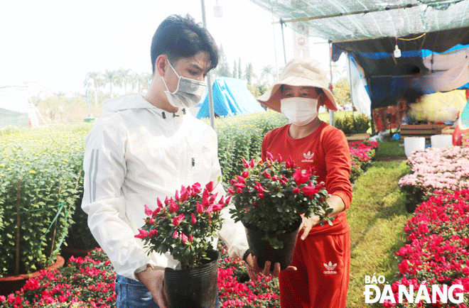 A man buying flowers at the Tet flower market in front of the March 29 Square on September 2 Street in the morning of January 23. Photo: VAN HOANG