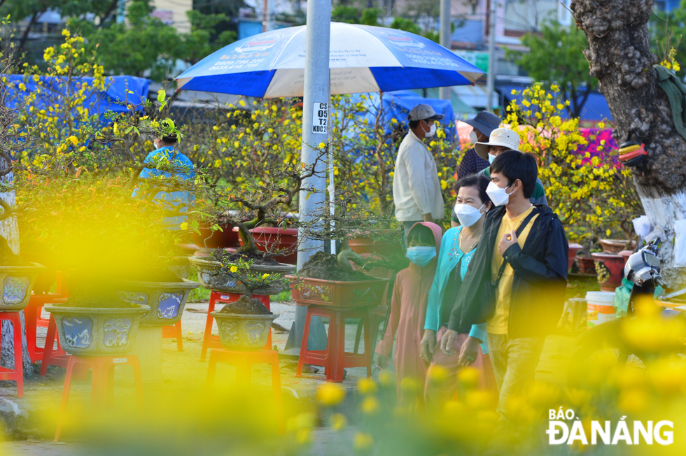 On the 24th and 25th days of the last lunar month, a few people are seen visiting the Tet flower market. Photo: XUAN SON 