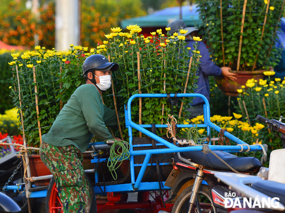 Many garden owners and ‘xe om’ (motorbike taxi) drivers prepare for specialised tools to transport pots of flowers to guests. Photo: XUAN SON 