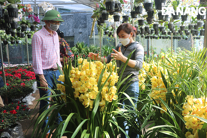 An employee of a flower shop is giving consultancy about orchids to a customer.