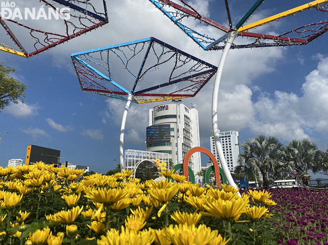 Spring colours boom across Da Nang’s major downtown streets. Photo: HOA BINH