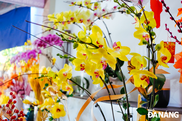 Phalaenopsis orchids are being sold at VND200,000/branch. Photo: N.L