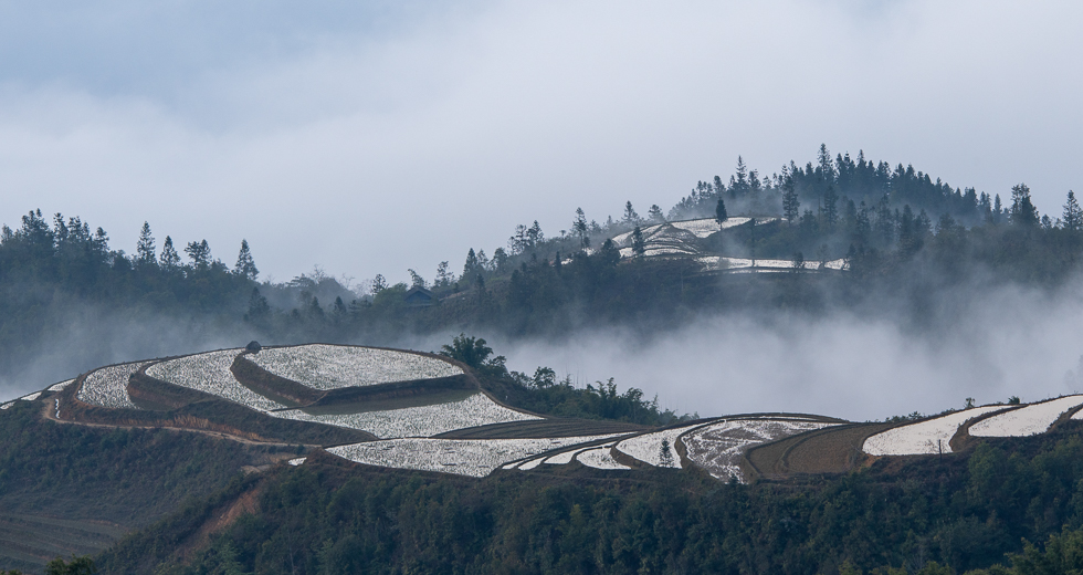 Quietly Sapa. Photo: Le Thi Bich Phuong