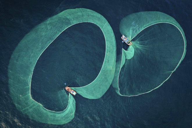 Bức ảnh đánh bắt cá cơm ở Việt Nam đoạt giải thưởng quốc tế