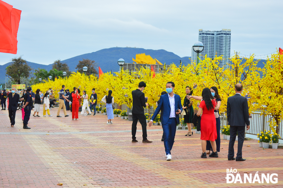 The brilliant colours of apricot blossom trees along the the western bank of the Han River.