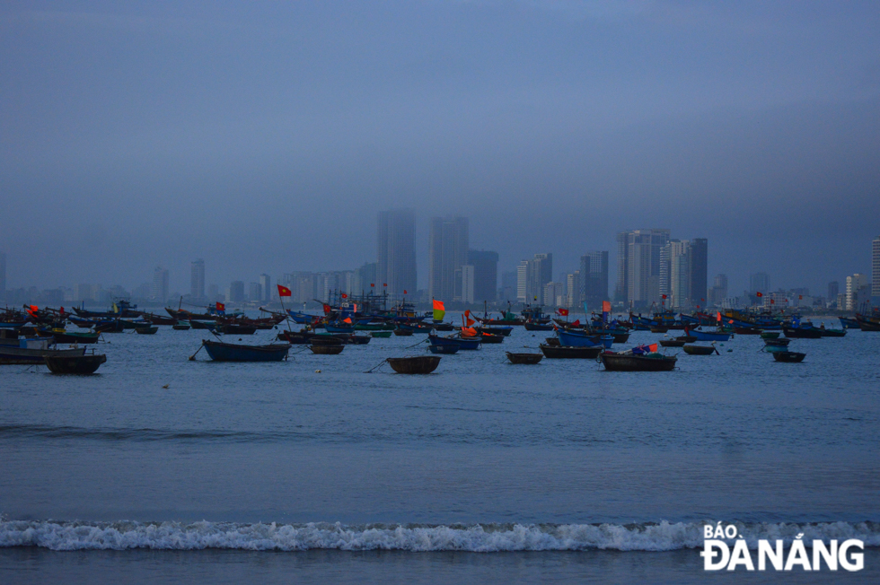 Fishermen in Da Nang often make inshore fishing trips through the night and return to shore with a bumper catch of tiny shrimps in the early morning of the following day. Each fishing vessel can bring back between 400 and 700 kilos of tiny shrimps after its night-time inshore fishing trip. After deducting all expenses, each crewmember can earn from VND800,000 to more than VND1 million per trip.