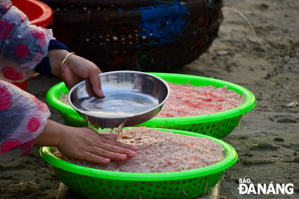 After preliminary cleaning, tiny shrimps can be processed into many delicious dishes such as stir-fried and roasted tiny shrimps, or can be produced fish sauce.  