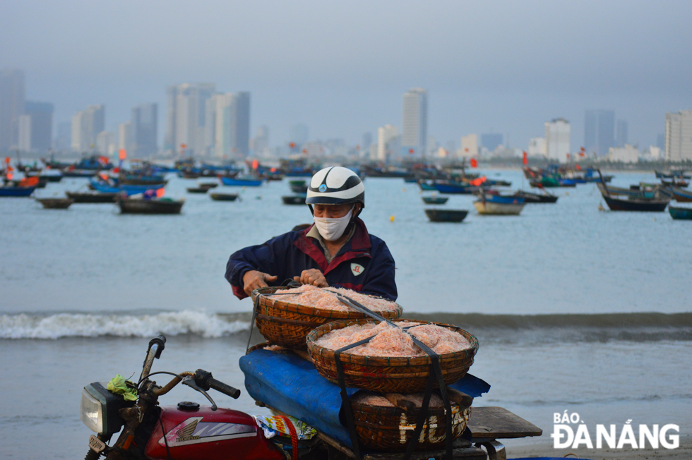 A trader rushing to carry freshly-caught tiny shrimp to traditional markets across Da Nang