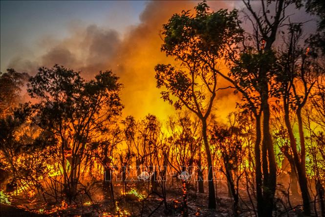 Cháy rừng ở Australia có thể liên quan đến tình trạng suy giảm tầng ozone