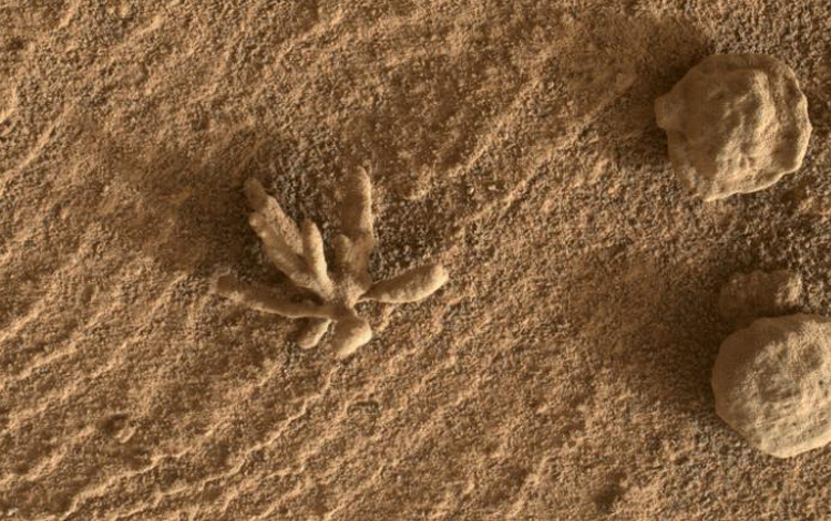 Tàu thám hiểm NASA chụp ảnh 'bông hoa nhỏ' trên Sao Hỏa