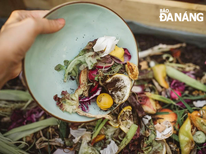 Loads of households in Da Nang are using food waste to make fertilizer for plants. Photo: HUYNH LE