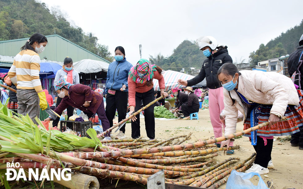 Sugarcane is one of the most popular products at the market.