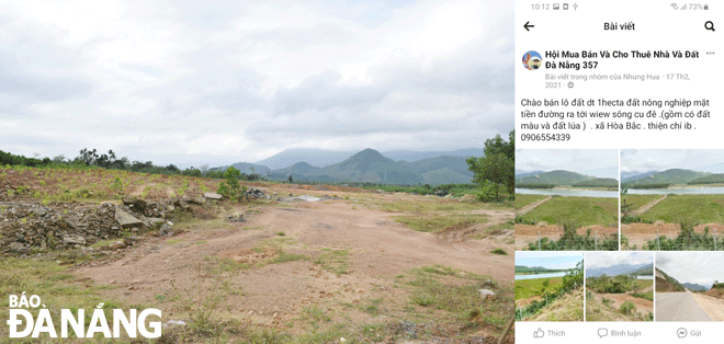 Một số thửa đất ven sông Cu Đê (xã Hòa Bắc, huyện Hòa Vang)  đang được nhiều người tìm mua, rao bán sai quy định (ảnh bên phải). Ảnh: HOÀNG HIỆP