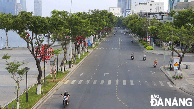 Con đường rợp bóng cây xanh trong lòng thành phố. Ảnh: PHÚC AN