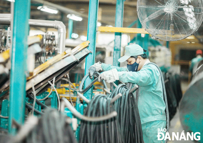 Working activities are observed at the Da Nang Rubber Joint Stock Company. Photo: M.QUE