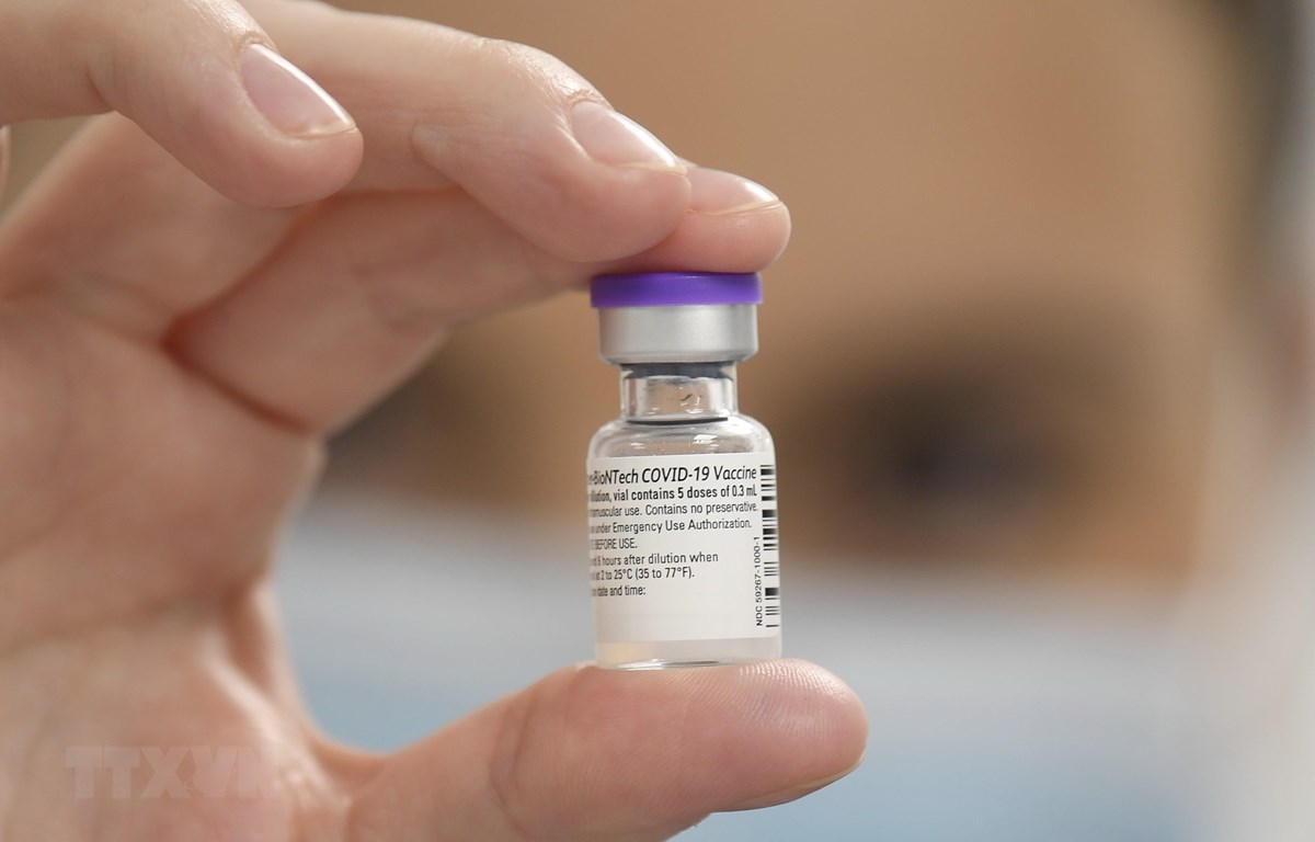 Vaccine ngừa COVID-19 của Hãng Pfizer-BioNTech. (Ảnh: AFP/TTXVN)