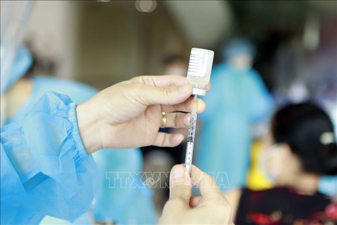 Bộ Y tế làm rõ tình hình, kiến nghị tổng số vaccine phòng COVID-19 cần mua cho trẻ em từ 5 đến dưới 12 tuổi. Ảnh: Hoàng Hùng/TTXVN