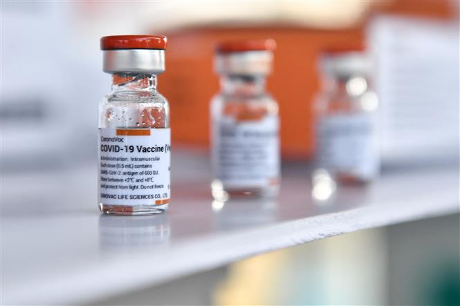 Vaccine CoronaVac phòng Covid-19 của hãng dược phẩm Sinovac Biotech (Trung Quốc). Ảnh: AFP/TTXVN