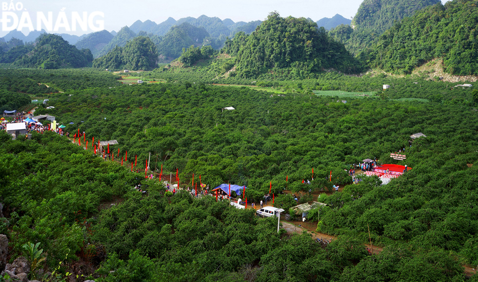 The annual plum-picking festival takes place in Na Ka Valley.