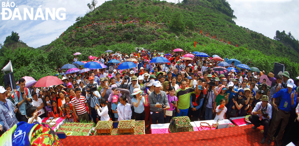 The annual plum-picking festival attracts a large number of tourists from all over the world and ethnic groups on the Moc Chau Plateau. 