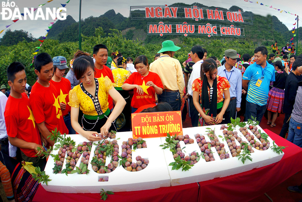 Plums are arranged in letters ''Moc Chau''.