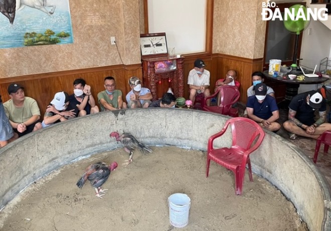 Police officers in Da Nang arrest people in an illegal cockfighting ring at K52/7 Bau Lang Street in Thanh Khe Dong Ward, Thanh Khe District.