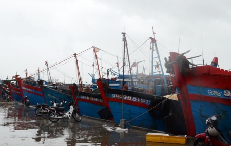 Quy hoạch hệ thống cảng cá, khu neo đậu tránh trú bão