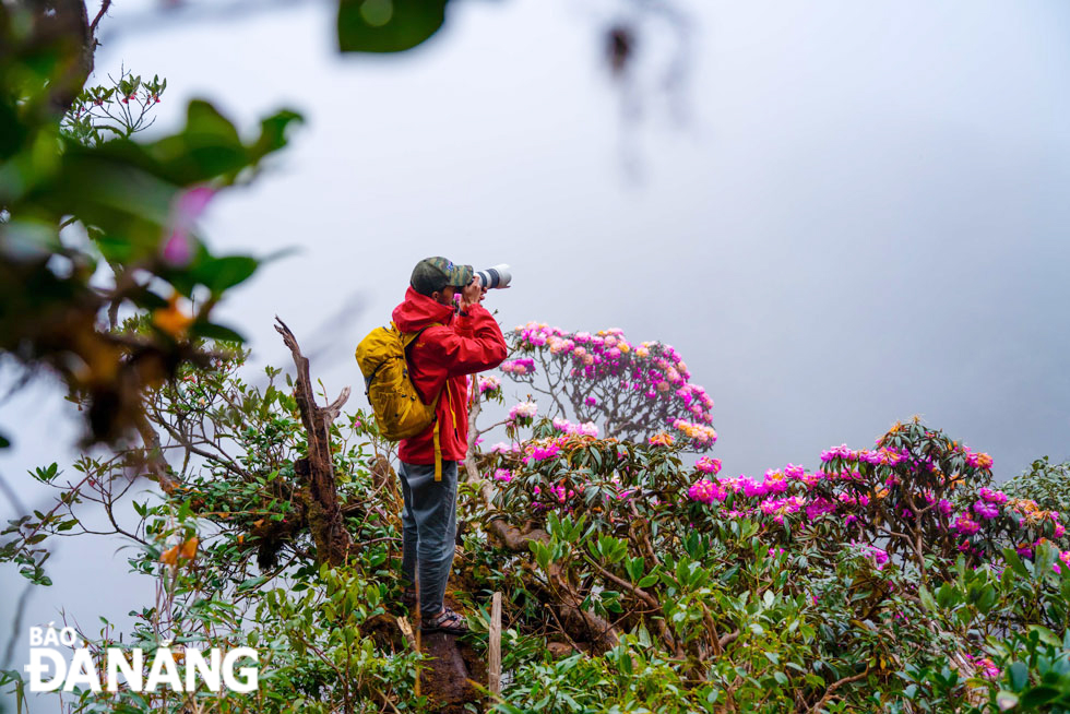 Visitors discover and save beautiful images on the Putaleng mountain peak.