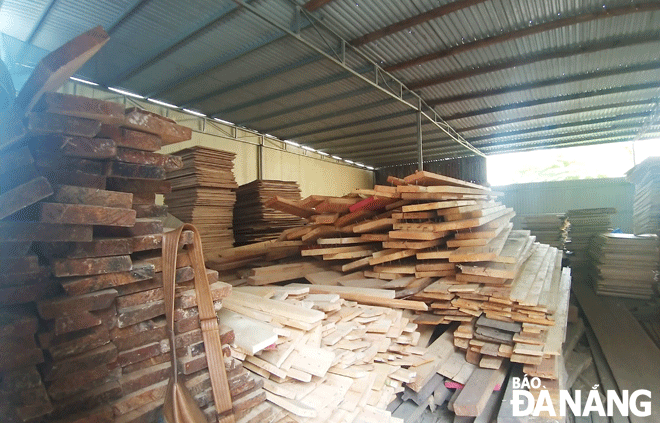 Một góc bên trong kho chứa gỗ của ông Trương Vân tại đường An Trung 4, phường An Hải Tây, quận Sơn Trà.Ảnh: ĐẮC MẠNH	