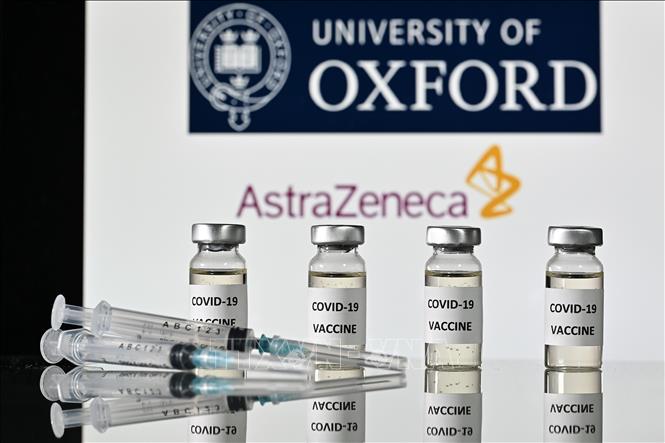 Vaccine ngừa Covid-19 do hãng dược phẩm AstraZeneca của Anh phối hợp với Đại học Oxford phát triển. Ảnh: AFP/ TTXVN