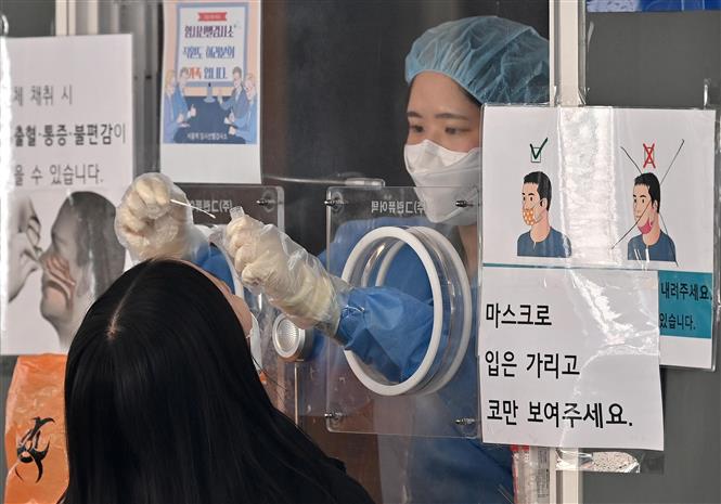 Nhân viên y tế lấy mẫu xét nghiệm COVID-19 cho người dân tại Seoul, Hàn Quốc, ngày 2/3/2022. Ảnh: AFP/ TTXVN