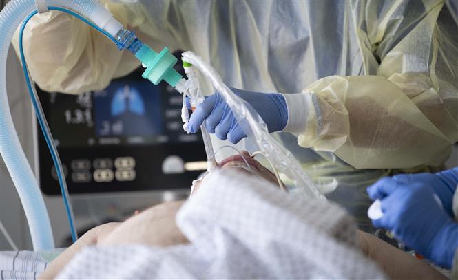 Nhân viên y tế điều trị cho bệnh nhân COVID-19 tại bệnh viện ở Stuttgart, Đức. Ảnh: AFP/ TTXVN