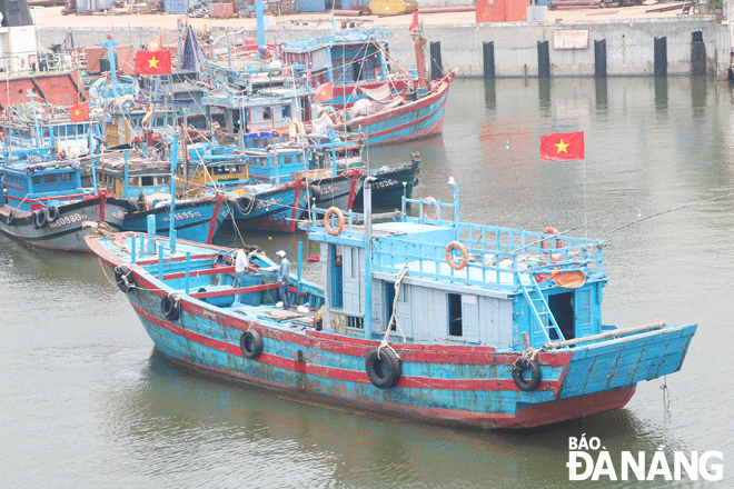 Developing a storage compartment with new materials along with modern equipment and machinery helps improve the value of seafood after catch. Photo: VAN HOANG