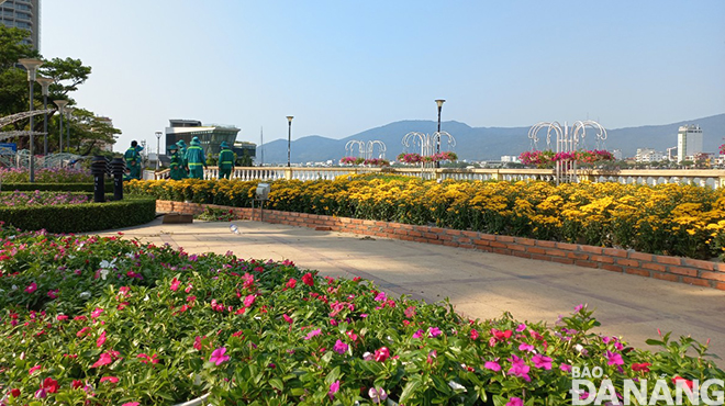  The flower decoration is in progress along Bach Dang Street. Photo: TRIEU TUNG