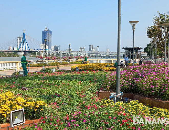 Workers water flowers to keep them fresh in the sunny weather. Photo: TRIEU TUNG 