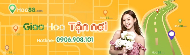 Hoa88.com - Dịch vụ đặt hoa online uy tín tại Đà Nẵng