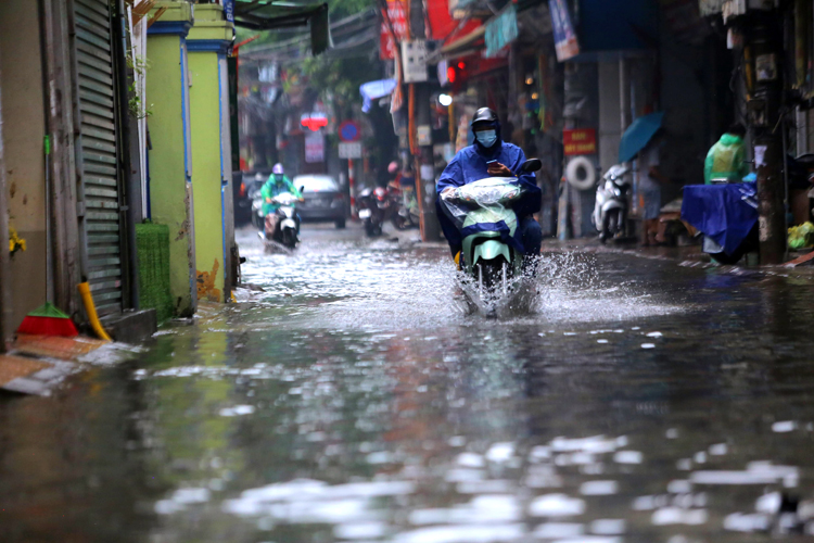 Bắc Bộ có mưa vừa, mưa to.