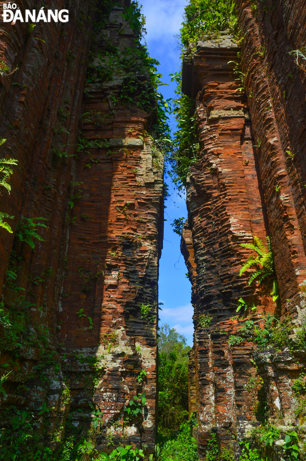 There are no decorative patterns on the bodies of the towers. Each tower has 3 false doors and 1 entrance door. The top of each tower has a curved and pointed arch into the shape of a leaf.